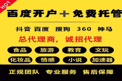 百度竞价排名案例分析：提升网站流量与转化率